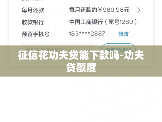 征信花功夫贷能下款吗-功夫贷额度