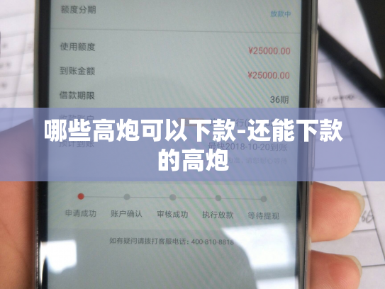 哪些高炮可以下款-还能下款的高炮