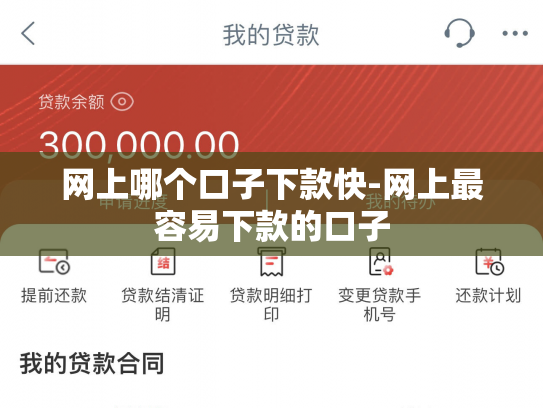 网上哪个口子下款快-网上最容易下款的口子