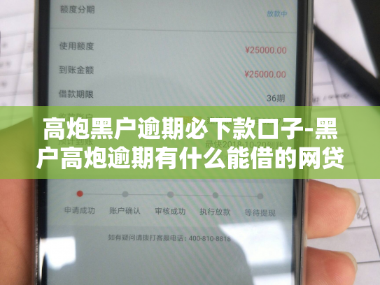 高炮黑户逾期必下款口子-黑户高炮逾期有什么能借的网贷