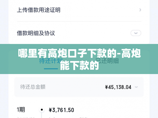 哪里有高炮口子下款的-高炮能下款的