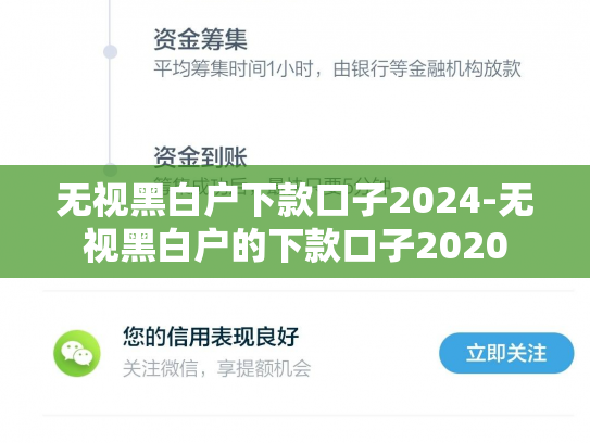无视黑白户下款口子2024-无视黑白户的下款口子2020