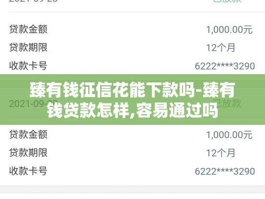 臻有钱征信花能下款吗-臻有钱贷款怎样,容易通过吗