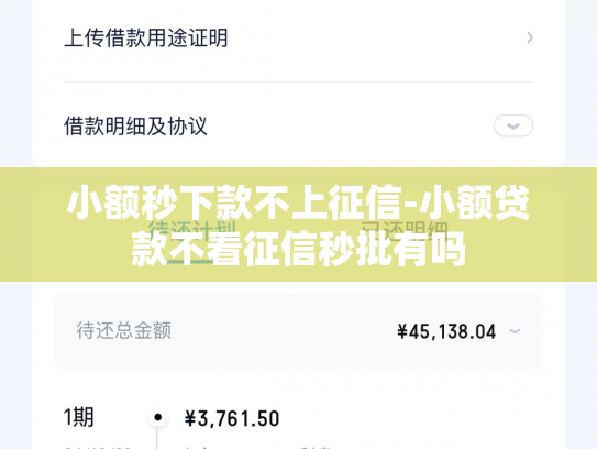 小额秒下款不上征信-小额贷款不看征信秒批有吗