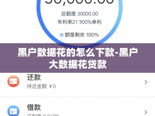 黑户数据花的怎么下款-黑户大数据花贷款