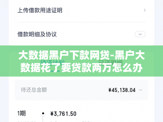 大数据黑户下款网贷-黑户大数据花了要贷款两万怎么办