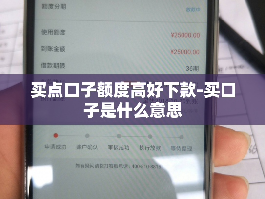 买点口子额度高好下款-买口子是什么意思