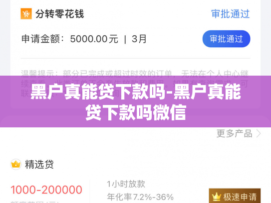 黑户真能贷下款吗-黑户真能贷下款吗微信