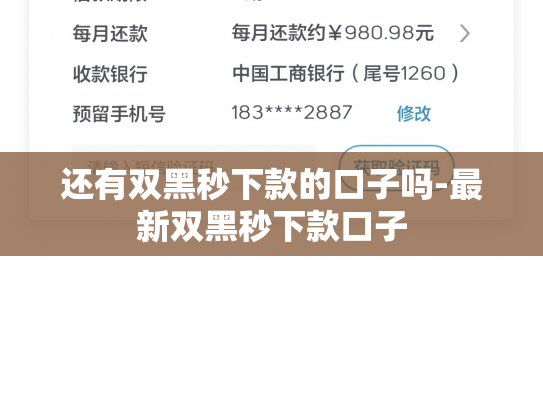 还有双黑秒下款的口子吗-最新双黑秒下款口子