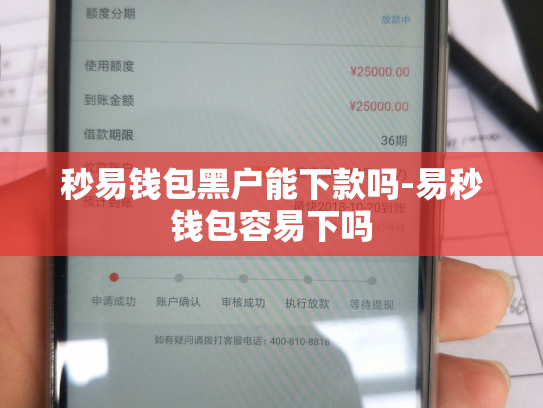 秒易钱包黑户能下款吗-易秒钱包容易下吗
