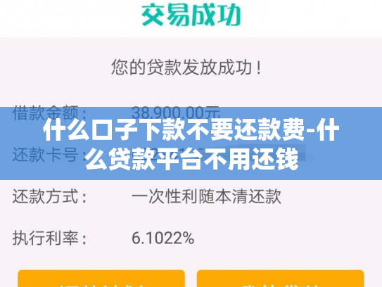什么口子下款不要还款费-什么贷款平台不用还钱