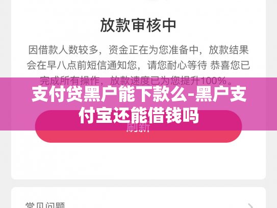 支付贷黑户能下款么-黑户支付宝还能借钱吗