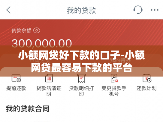 小额网贷好下款的口子-小额网贷最容易下款的平台