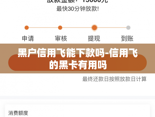 黑户信用飞能下款吗-信用飞的黑卡有用吗