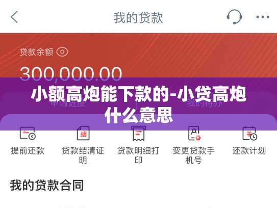 小额高炮能下款的-小贷高炮什么意思