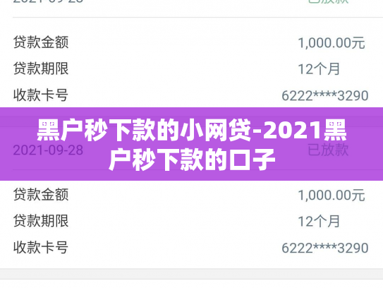 黑户秒下款的小网贷-2021黑户秒下款的口子