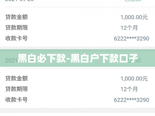 黑白必下款-黑白户下款口子