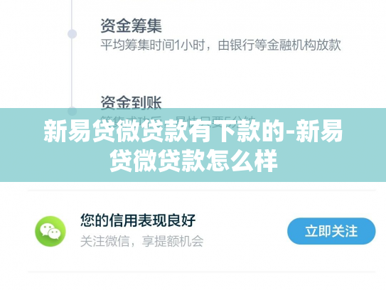 新易贷微贷款有下款的-新易贷微贷款怎么样
