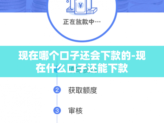 现在哪个口子还会下款的-现在什么口子还能下款