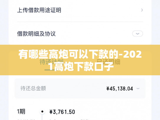有哪些高炮可以下款的-2021高炮下款口子