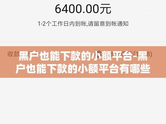 黑户也能下款的小额平台-黑户也能下款的小额平台有哪些