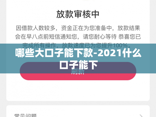 哪些大口子能下款-2021什么口子能下