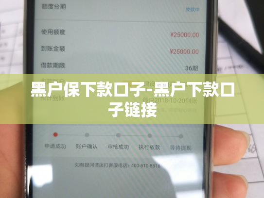 黑户保下款口子-黑户下款口子链接