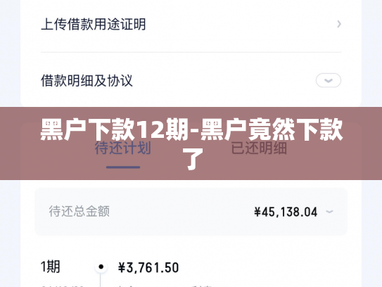 黑户下款12期-黑户竟然下款了
