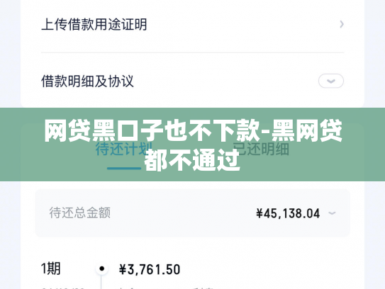 网贷黑口子也不下款-黑网贷都不通过