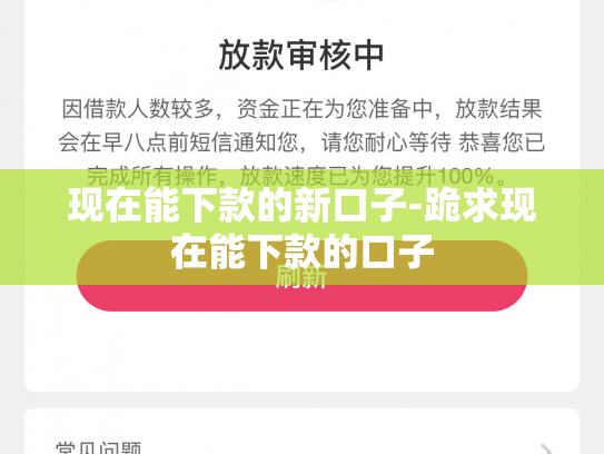 现在能下款的新口子-跪求现在能下款的口子