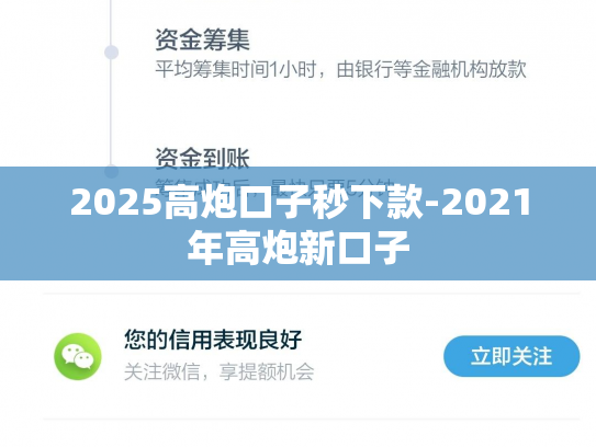 2025高炮口子秒下款-2021年高炮新口子