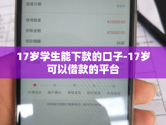 17岁学生能下款的口子-17岁可以借款的平台