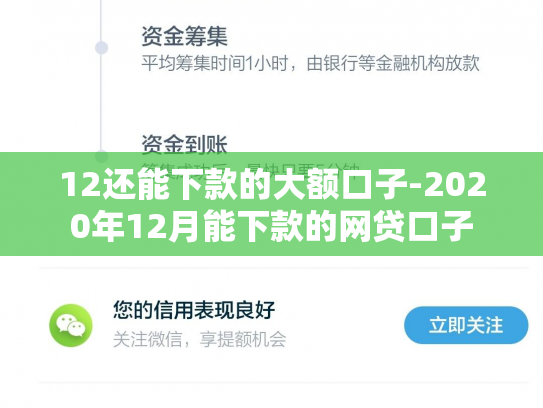 12还能下款的大额口子-2020年12月能下款的网贷口子
