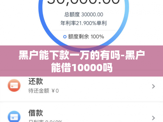 黑户能下款一万的有吗-黑户能借10000吗