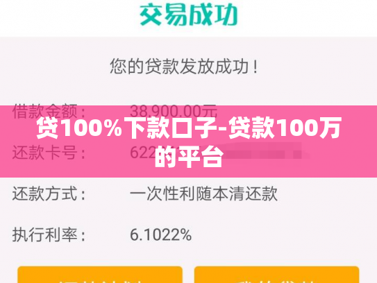 贷100%下款口子-贷款100万的平台
