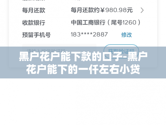 黑户花户能下款的口子-黑户花户能下的一仟左右小贷