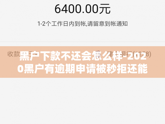 黑户下款不还会怎么样-2020黑户有逾期申请被秒拒还能下款的口子当天手机贷