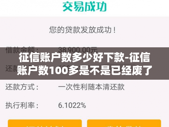 征信账户数多少好下款-征信账户数100多是不是已经废了
