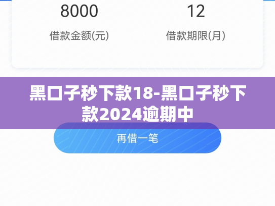 黑口子秒下款18-黑口子秒下款2024逾期中