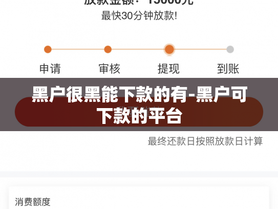 黑户很黑能下款的有-黑户可下款的平台