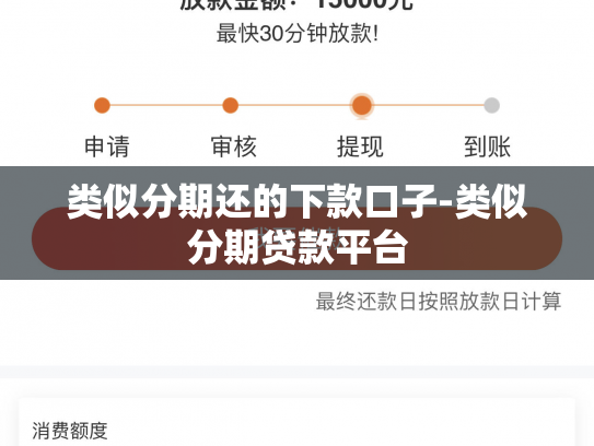 类似分期还的下款口子-类似分期贷款平台
