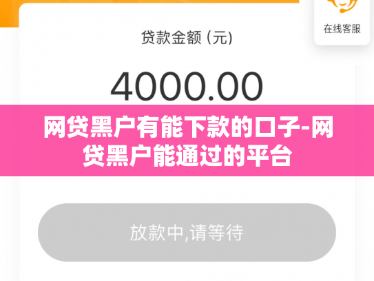 网贷黑户有能下款的口子-网贷黑户能通过的平台