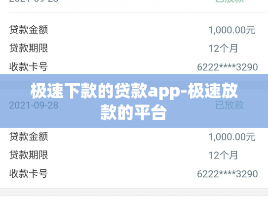 极速下款的贷款app-极速放款的平台