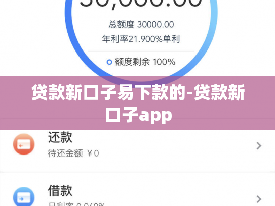 贷款新口子易下款的-贷款新口子app
