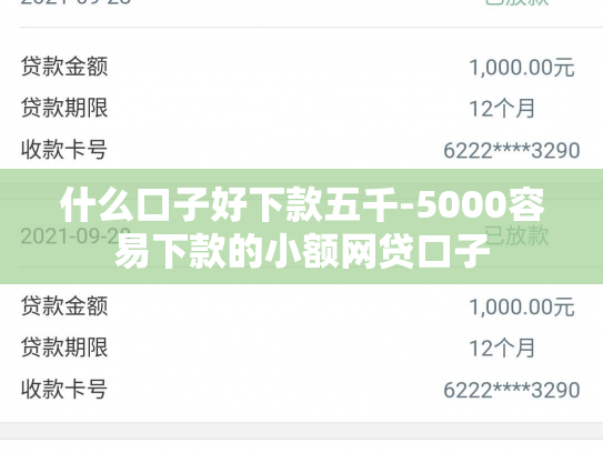 什么口子好下款五千-5000容易下款的小额网贷口子