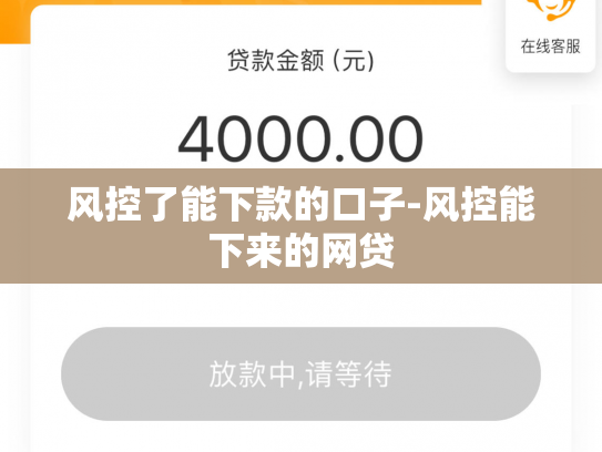 风控了能下款的口子-风控能下来的网贷