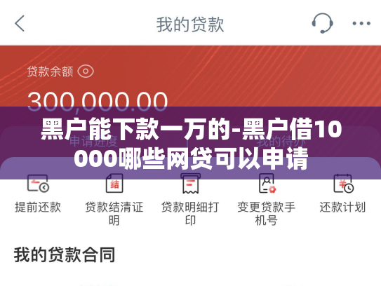 黑户能下款一万的-黑户借10000哪些网贷可以申请