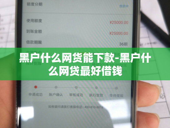 黑户什么网货能下款-黑户什么网贷最好借钱