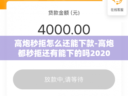 高炮秒拒怎么还能下款-高炮都秒拒还有能下的吗2020