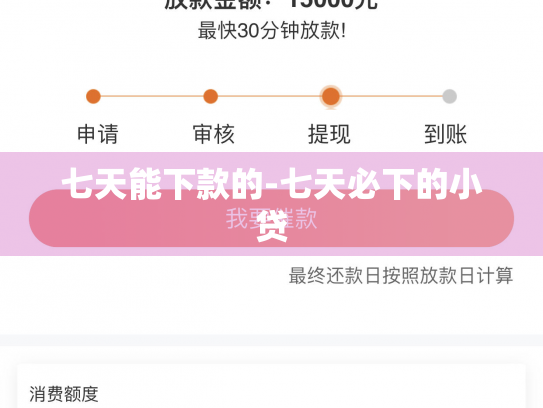七天能下款的-七天必下的小贷